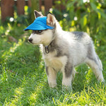 GORRA PARA MASCOTAS PAMPERS